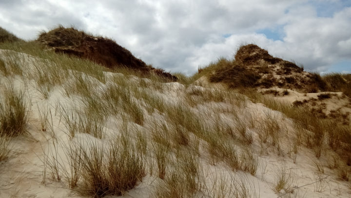 Fotografie mit dem Titel "Dune landscape on S…" von Myriam, Original-Kunstwerk, Digitale Fotografie