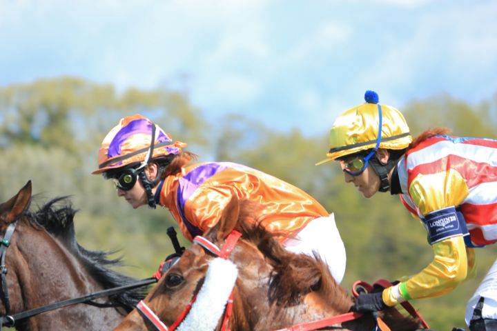 Fotografie mit dem Titel "Horse racing 2" von Myriam, Original-Kunstwerk, Digitale Fotografie