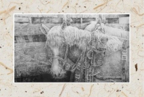 Peinture intitulée "Working Horses" par Floyd Gentry, Œuvre d'art originale