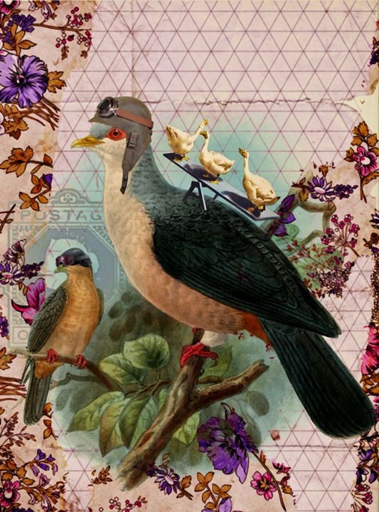 Digital Arts titled "Cool Birds" by F - Graphi̇, Original Artwork, Photo Montage