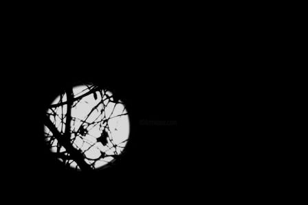 Фотография под названием "La lune par dessus…" - Francois-Henri Louchet, Подлинное произведение искусства