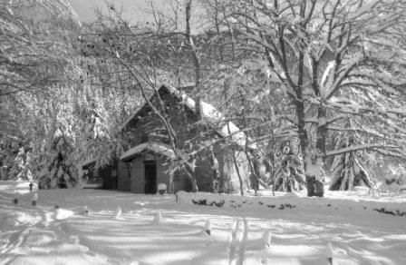 Photography titled "Refuge du Marais" by Francois-Henri Louchet, Original Artwork