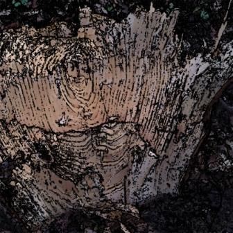 Фотография под названием "Le Genie de la foret" - Francois-Henri Louchet, Подлинное произведение искусства, Другой