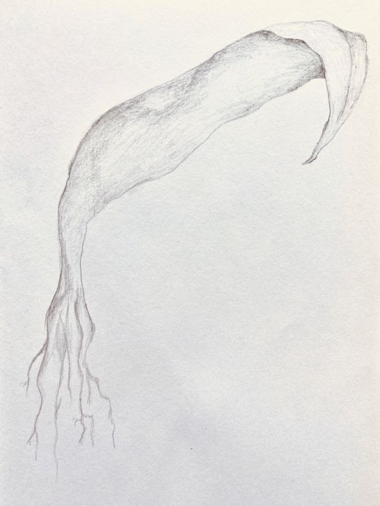 Zeichnungen mit dem Titel "fragile" von _psychadri_, Original-Kunstwerk, Bleistift