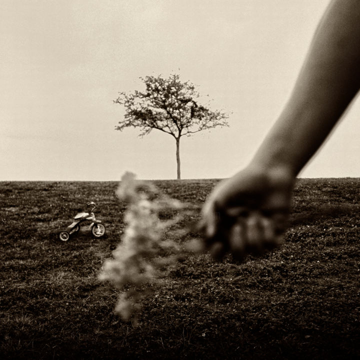 Photography titled "Alice 2" by Erik Cocks, Original Art,