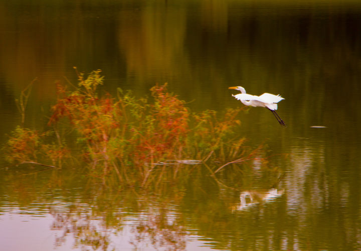 Photography titled ""Finest Serendipity"" by Rick Barber, Original Artwork, Non Manipulated Photography