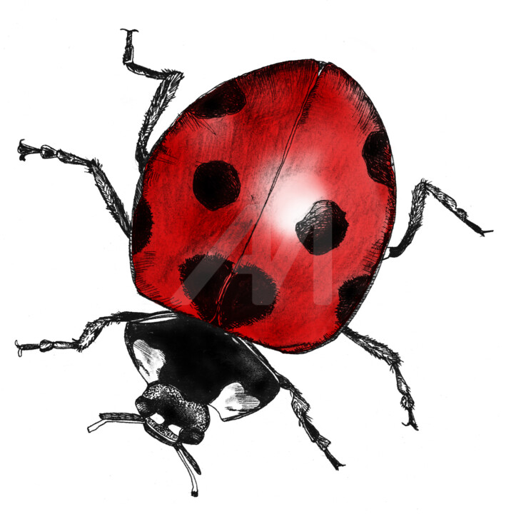 Drawing titled "la coccinelle" by Studio Figi, Original Art, Gel pen