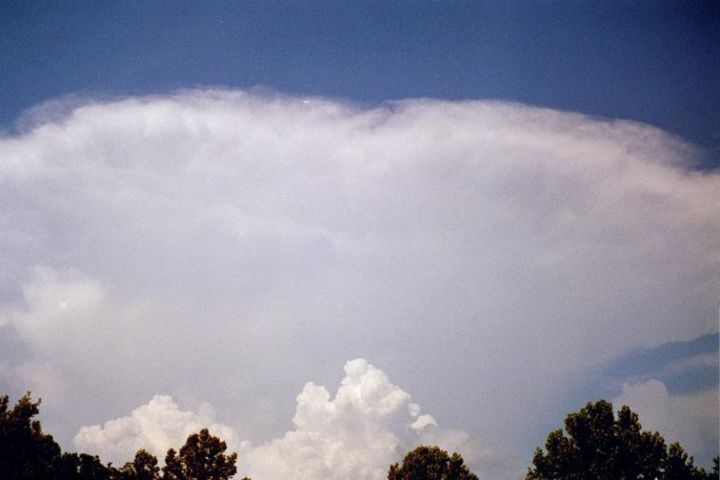 Photographie intitulée "Cloud Furry" par Terresa Whidden, Œuvre d'art originale