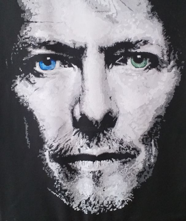 Peinture intitulée "bowie55.jpg" par Fabien Lardin, Œuvre d'art originale, Acrylique