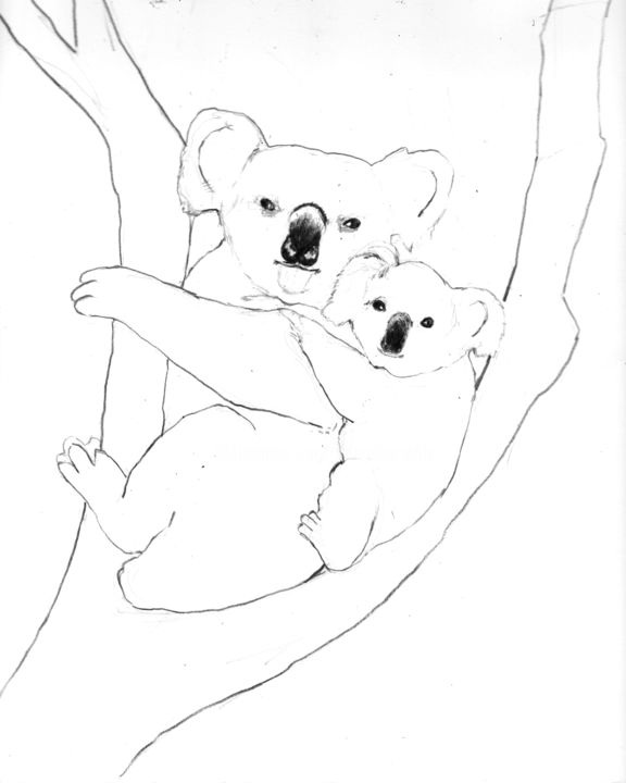 Drawing titled "Koalas" by Fleur Elise Noble, Original Artwork, Pencil