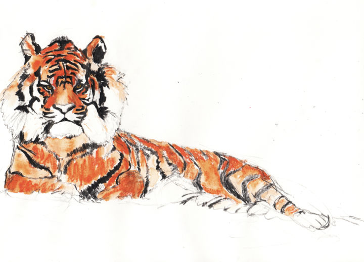 Dessin intitulée "Tiger" par Fleur Elise Noble, Œuvre d'art originale, Crayon