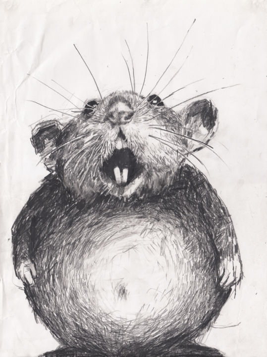 Drawing titled "Fat Rat" by Fleur Elise Noble, Original Artwork, Pencil