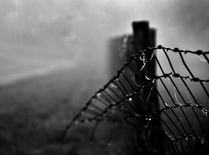 Photography titled "Brouillard" by Flo Char, Original Artwork, Digital Photography