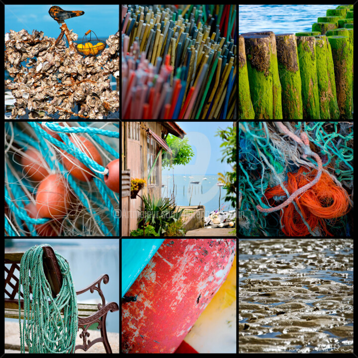 Fotografía titulada "COQUILLAGES ET CRUS…" por Florence Autelin, Obra de arte original, Fotografía digital