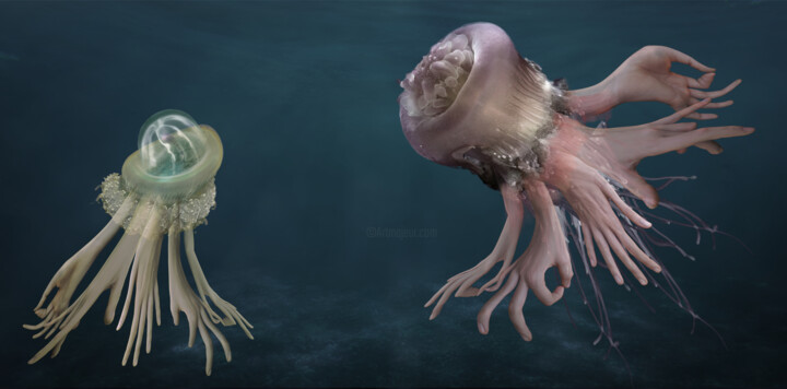 Digital Arts titled "Cnidaria doblus" by Florence Ormezzano, Original Artwork, Digital Collage