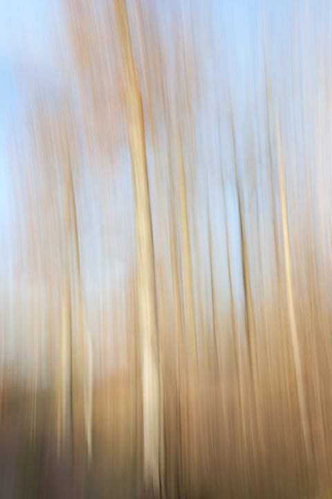 Fotografia zatytułowany „Pastel” autorstwa Florence Sanz, Oryginalna praca, Fotografia cyfrowa