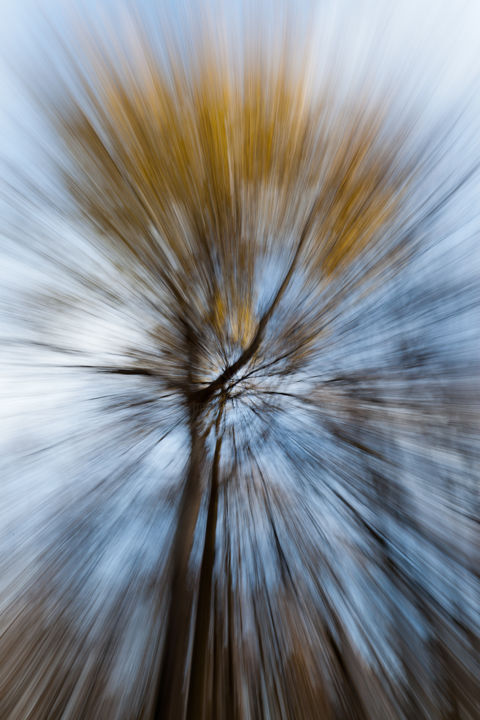 Fotografía titulada "Vertigo" por Florence Sanz, Obra de arte original, Fotografía digital