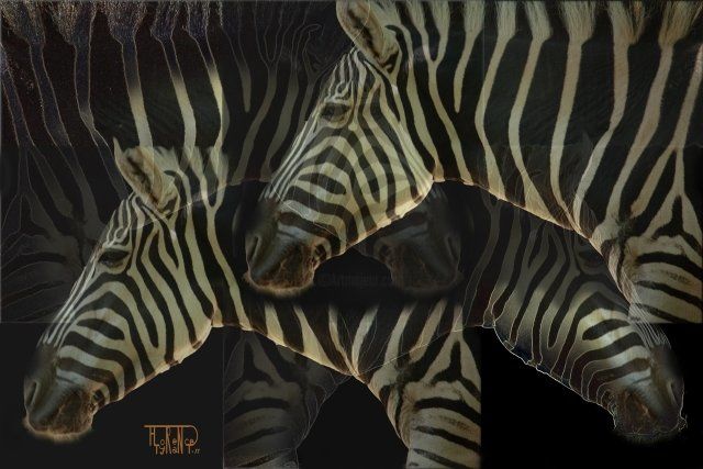 Digitale Kunst getiteld "Zebra" door Florence Tyrant, Origineel Kunstwerk, Digitaal Schilderwerk