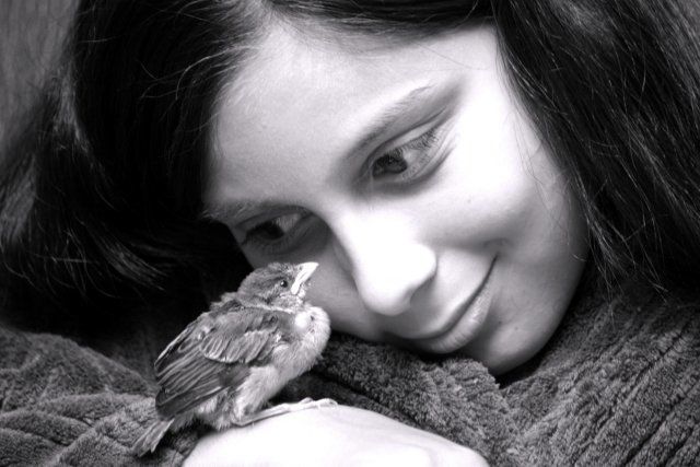 Photographie intitulée "Petit oiseau perdu" par Florence Tyrant, Œuvre d'art originale, Autre