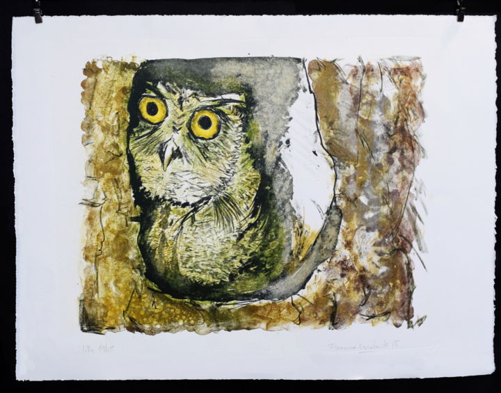 Gravures & estampes intitulée "buho" par Florencia Escalante, Œuvre d'art originale, Lithographie
