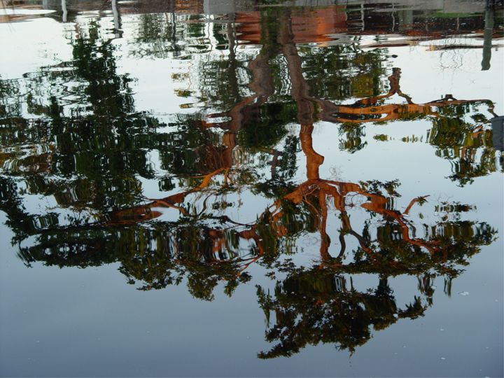 Fotografía titulada "treeflect.jpg" por Florene Welebny, Obra de arte original
