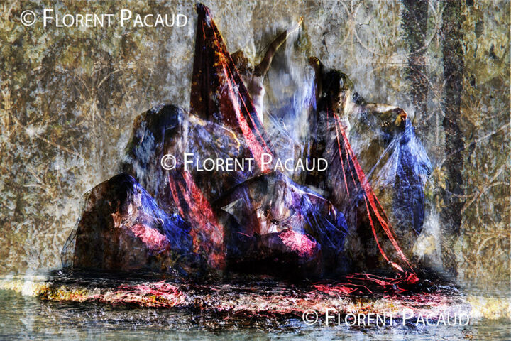 Digitale Kunst mit dem Titel "Eclosion" von Florent Pacaud, Original-Kunstwerk, Manipulierte Fotografie