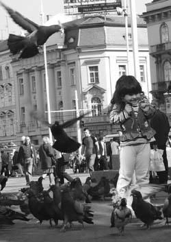 Photographie intitulée "fille et pigeon- Za…" par Florent Dorer, Œuvre d'art originale