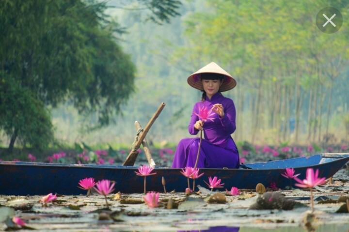 Arts numériques intitulée "41🌺lotos pond" par Flower Planet, Œuvre d'art originale, Photographie manipulée