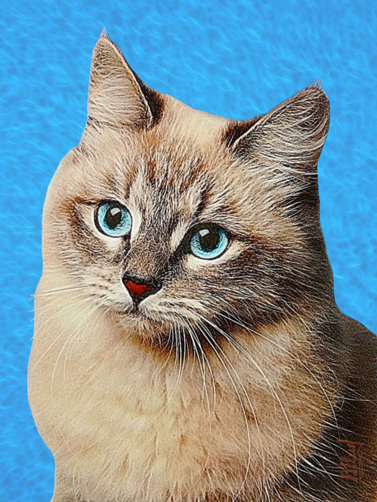 Arts numériques intitulée "Кошка с глубыми гла…" par Vasilij Mischenko, Œuvre d'art originale, Travail numérique 2D