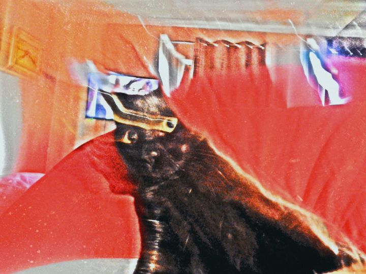 Photographie intitulée "Royaume félin" par Cedricart, Œuvre d'art originale, Photographie numérique