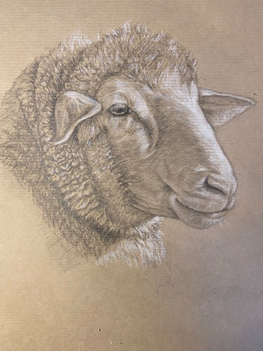 Drawing titled "Portait animal 2" by Véronique Fontaine, Original Artwork, Pencil