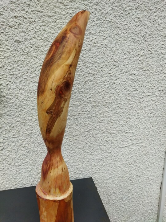 Sculpture titled "L'oiseau" by Forcadolmu, Original Artwork, Wood