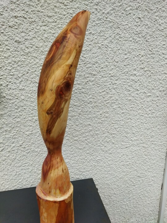 Escultura,  31,5x4,7 in 