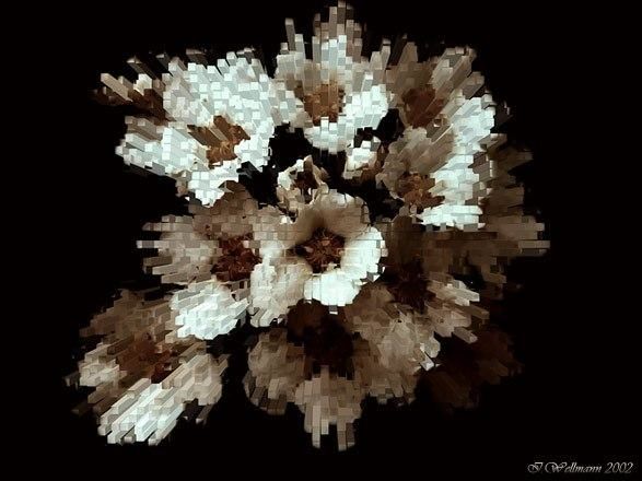 Photography titled "Explosion" by Ilona Wellmann, Original Artwork