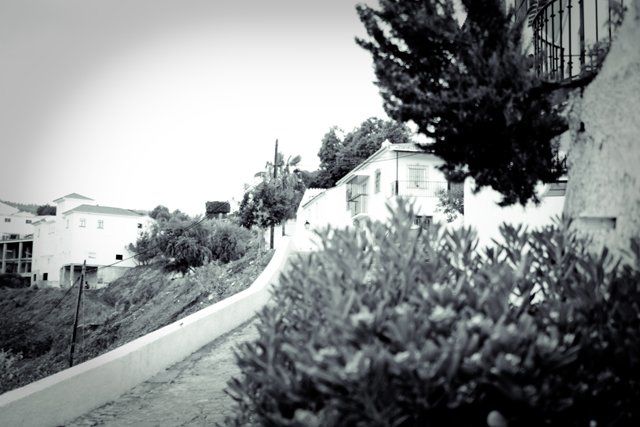 Fotografía titulada "Ensueño" por Wanda, Obra de arte original,