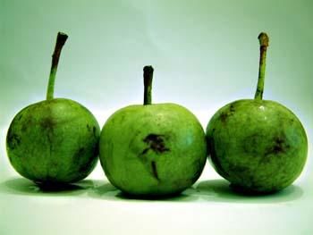 Photography titled "fruits" by Nehru Suleyman, Original Artwork