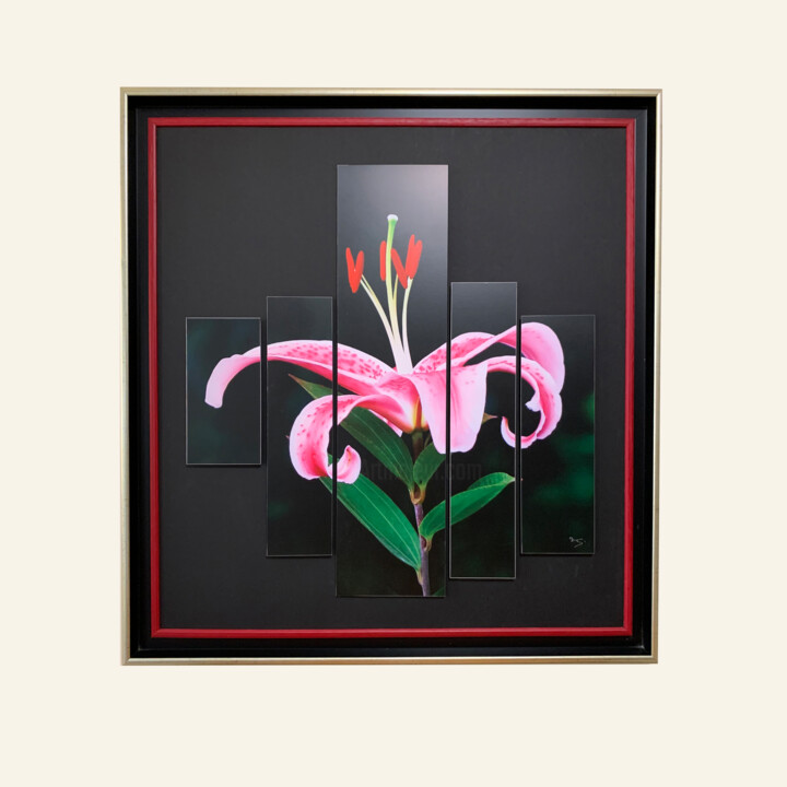 Photography titled "Bouquet recomposé" by Pierre-Franc Bouvet-Marechal, Original Artwork, Digital Photography Mounted on Oth…