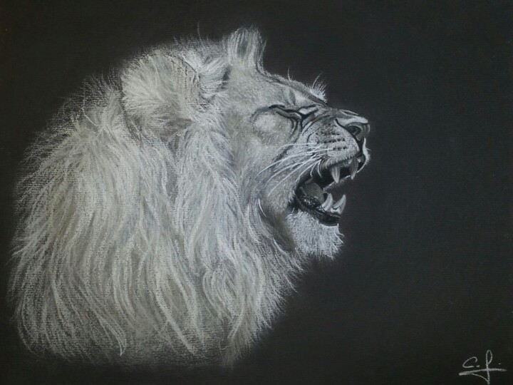 Drawing titled "Rugissement du Lion" by Foucade Cedric, Original Artwork, Charcoal