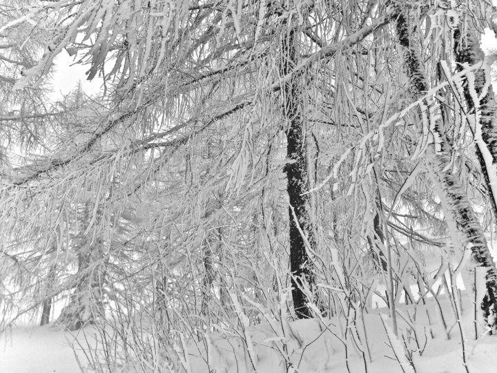 Photographie intitulée "neve" par Francesca Fedeli, Œuvre d'art originale