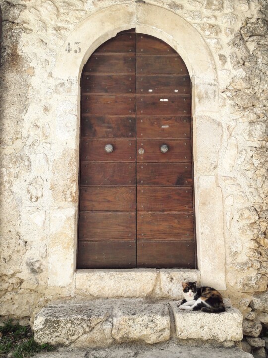 Photographie intitulée "Gatto su pietra - p…" par Francesco Palmi, Œuvre d'art originale, Photographie numérique