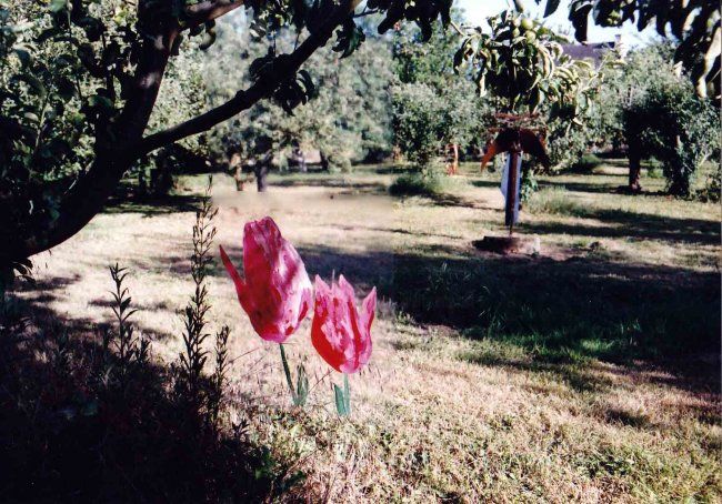 Installation titled "land_art_0011_w.jpg" by Francine Rosenwald : Parcours Artistique, Original Artwork