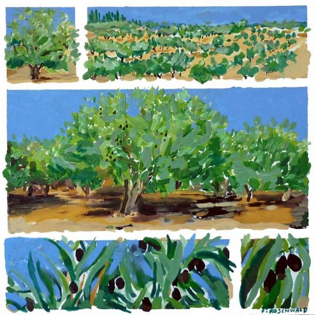 Peinture intitulée "champ d'oliviers" par Francine Rosenwald : Parcours Artistique, Œuvre d'art originale