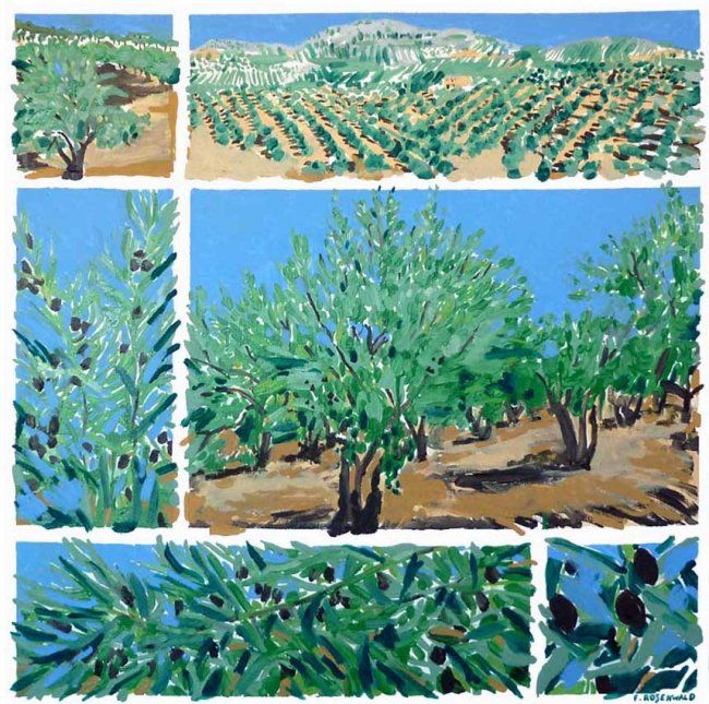 Peinture intitulée "grand champ d'olivi…" par Francine Rosenwald : Parcours Artistique, Œuvre d'art originale