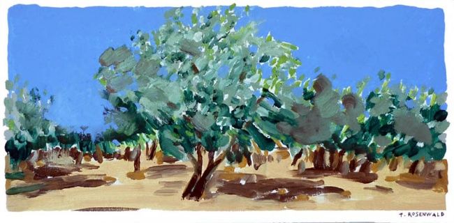 Peinture intitulée "plantation d'olivie…" par Francine Rosenwald : Parcours Artistique, Œuvre d'art originale