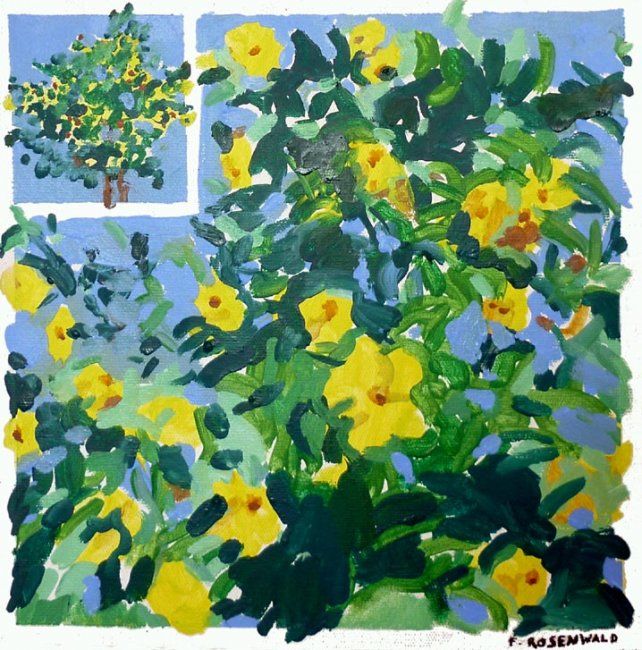 Painting titled "Fleurs au Népal" by Francine Rosenwald : Parcours Artistique, Original Artwork