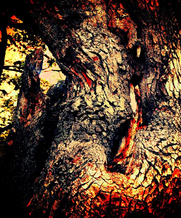 Photographie intitulée "Ghostly spirit tree…" par Francis Edwin Roe Jr Frank Or Frankie, Œuvre d'art originale, Photographie…