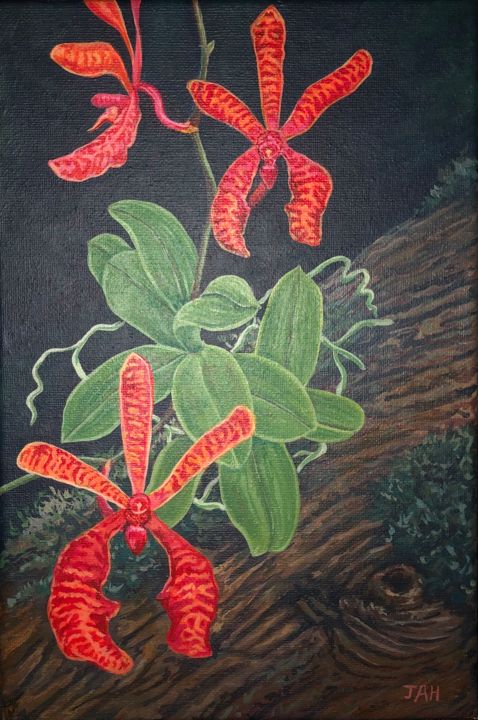 Painting titled "Orquídea de fuego" by Francis Gabriel Garofalo Freire, Original Artwork, Acrylic