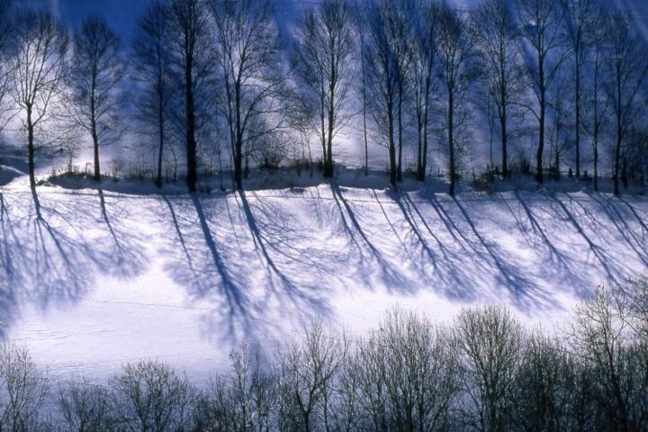 Photography titled "hiver-008.jpg" by Francis Alleyrangue, Original Artwork