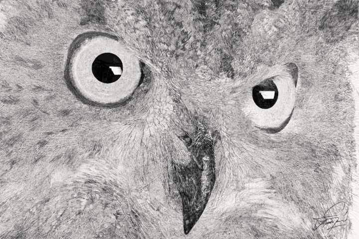 Tekening getiteld "buho-owl-2.jpg" door Francisco García Delgado, Origineel Kunstwerk, Anders