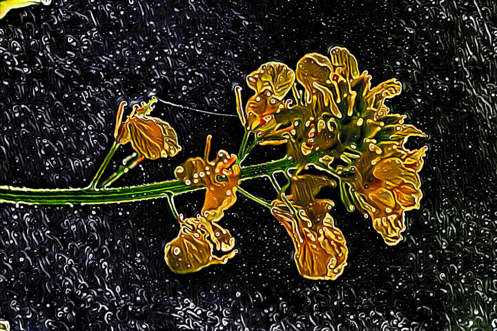 Arts numériques intitulée "Flor sobre negro" par Francisco Lopez Bermudez, Œuvre d'art originale, Peinture numérique